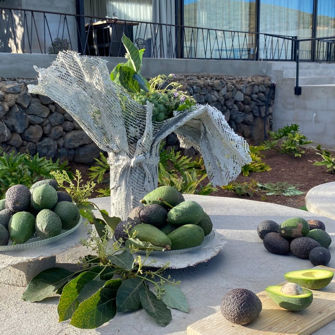 Organización de eventos, experiencias privadas y corporativas Jarrón de piedra con hojas y varios aguacates en una mesa exterior.