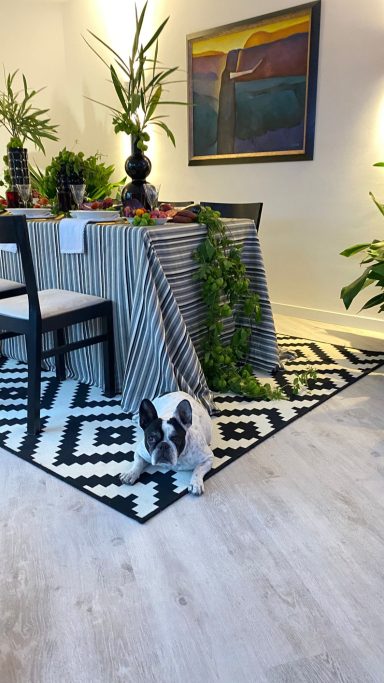 Evento de celebración Perro blanco y negro en una habitación con plantas y una mesa decorada.